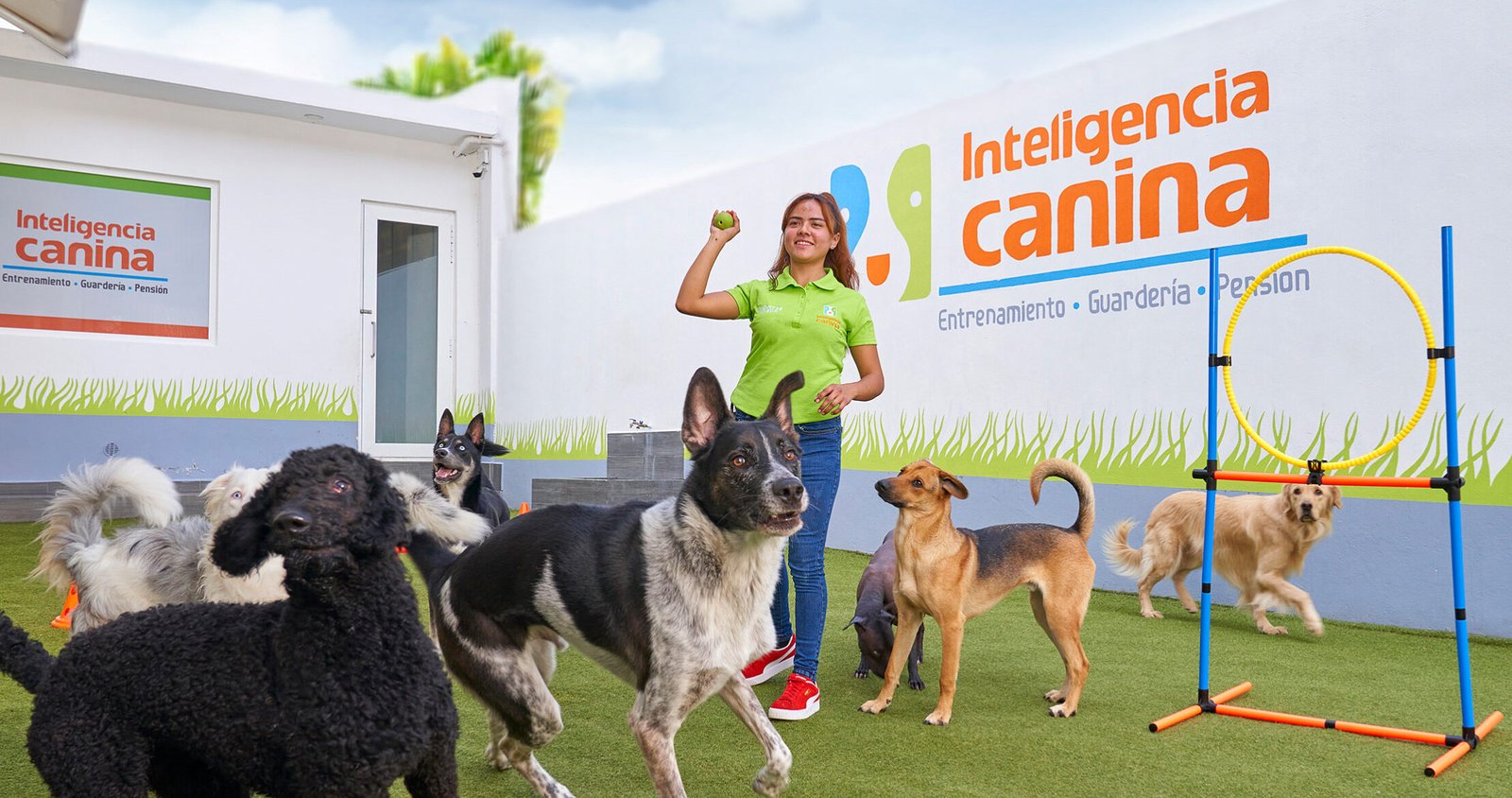 dejar-a-mi-perro-en-una-pensión-o-guardería