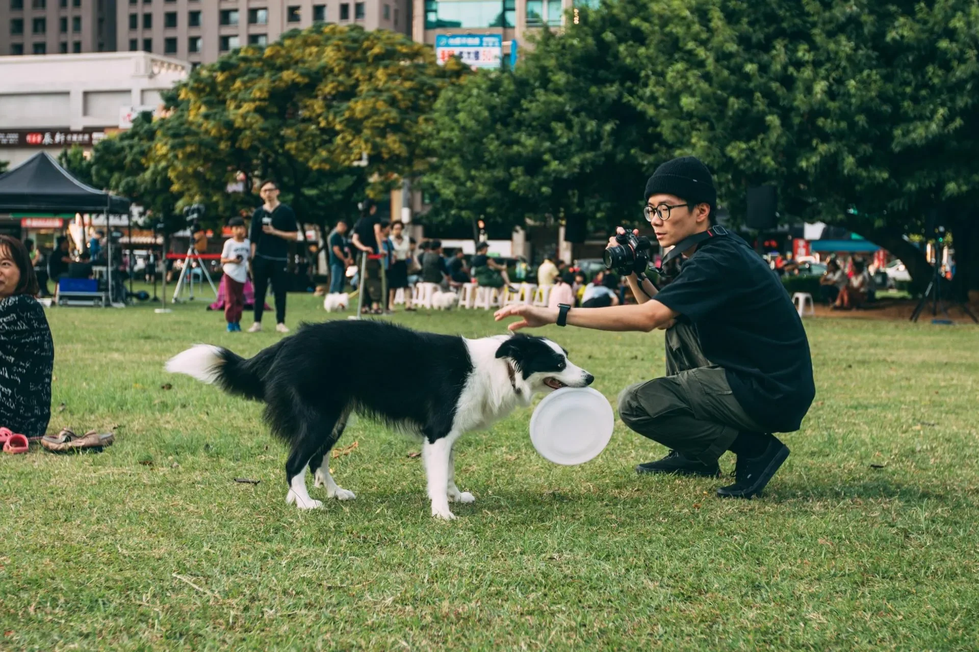 Los juguetes más cool para perros