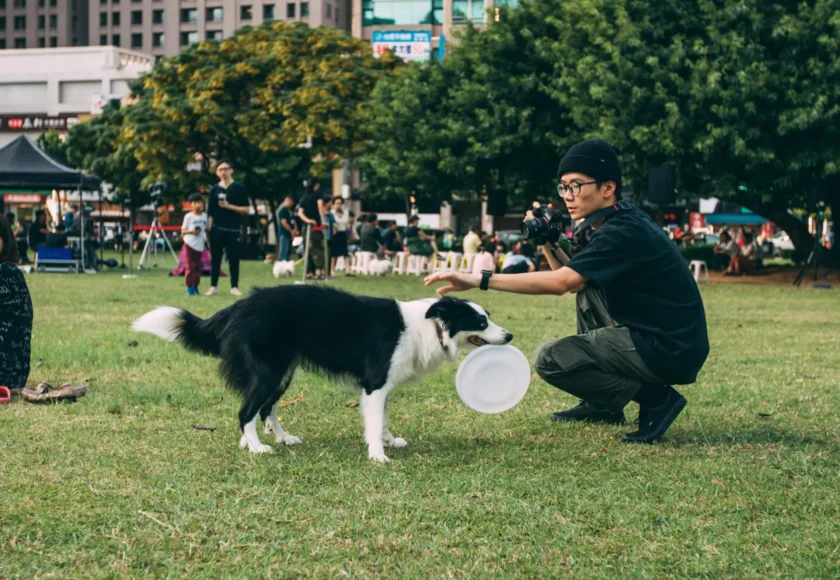 Los juguetes más cool para perros