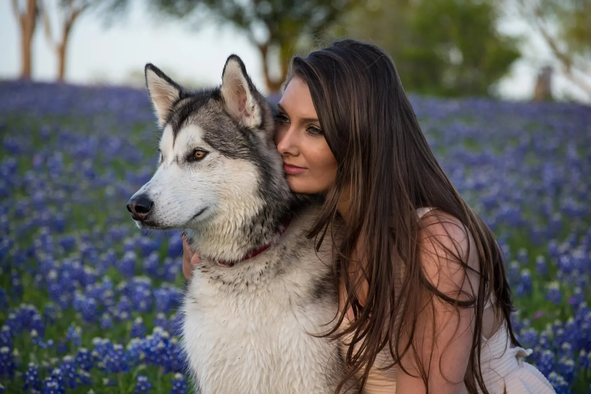 Los mejores premios para tu perro