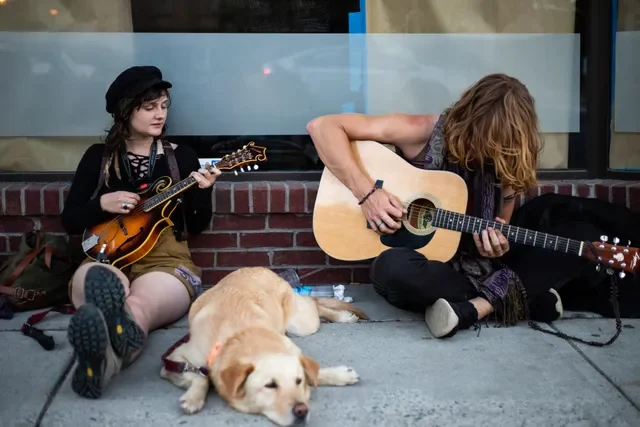 Música para perros, ¿realmente funciona