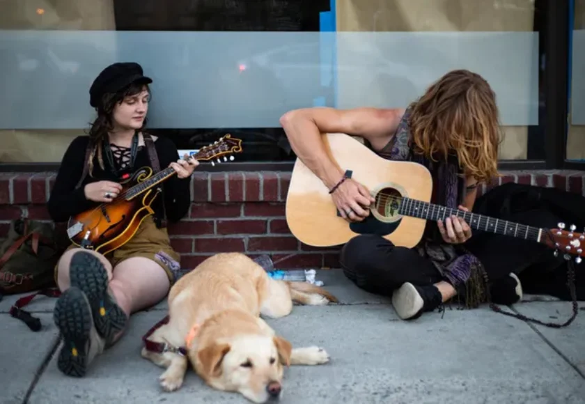 Música para perros, ¿realmente funciona
