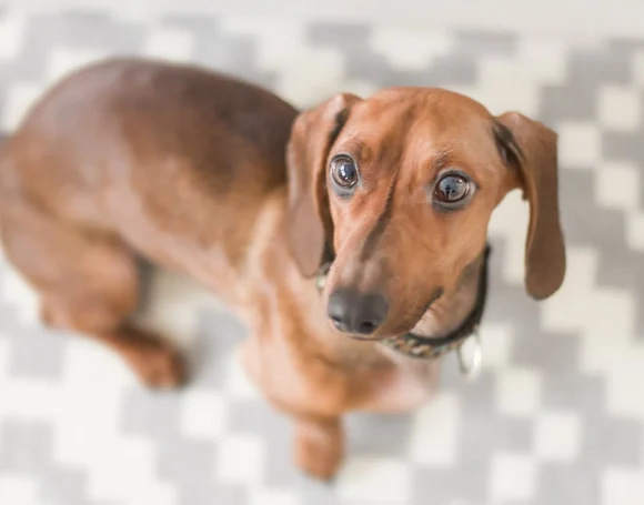 pexels-photo-895257-1920w