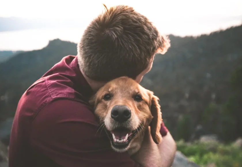 El Perro Perfecto para Ti Según tu Personalidad