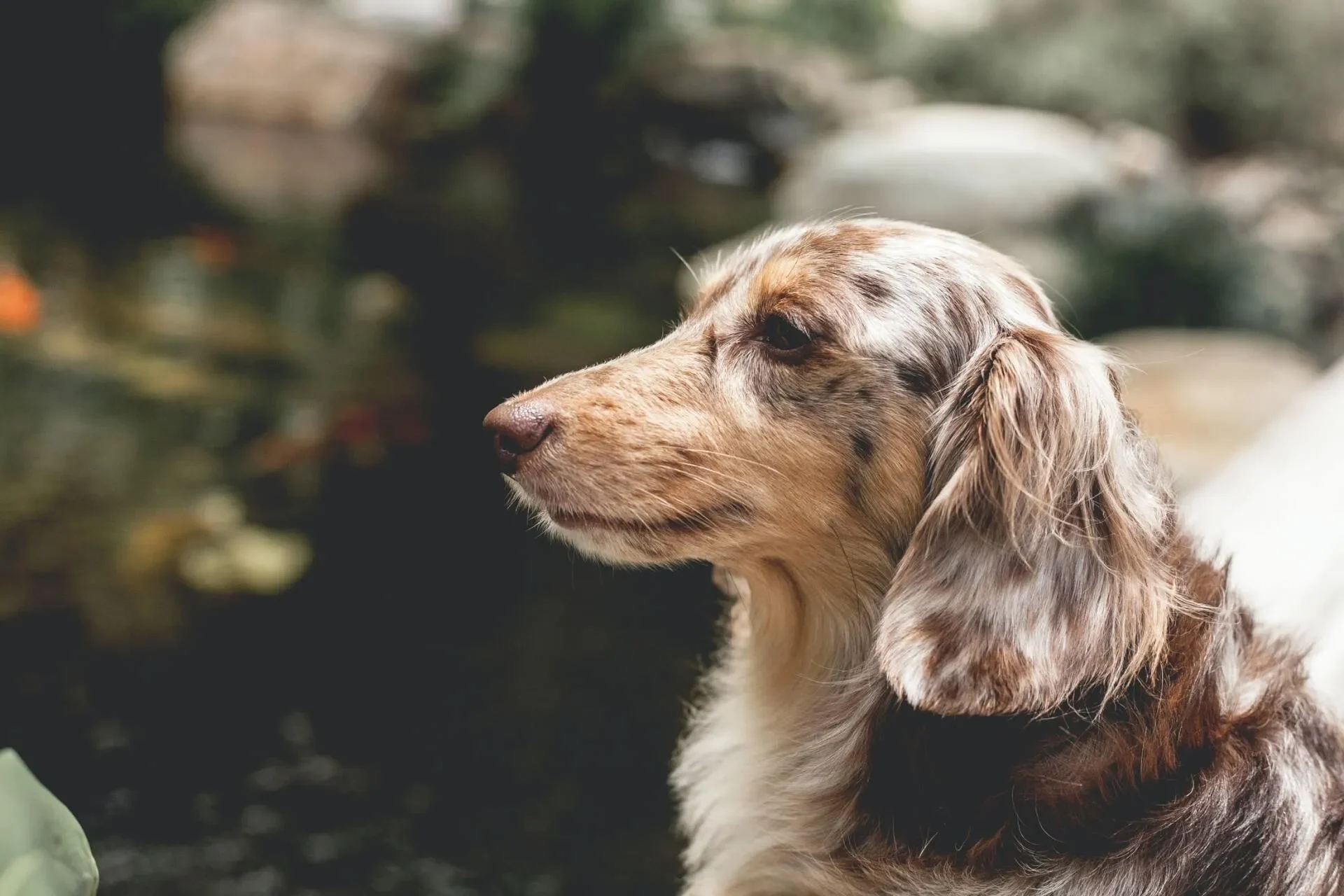 photo-1575876963212-a924f17fa3fe-1920w