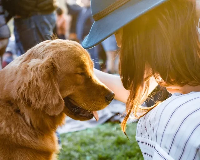 Obligaciones legales que tienen los dueños de perros en CDMX
