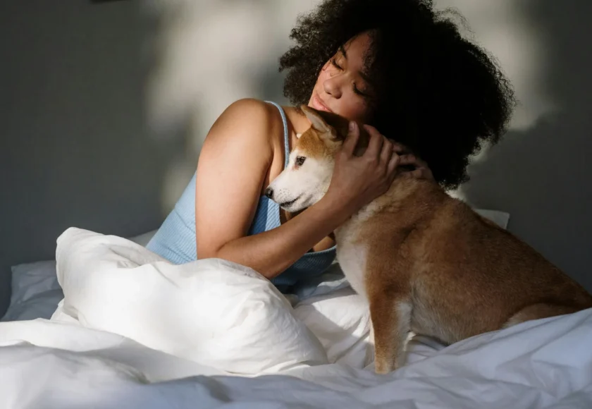 mi-perrito-es-miedoso