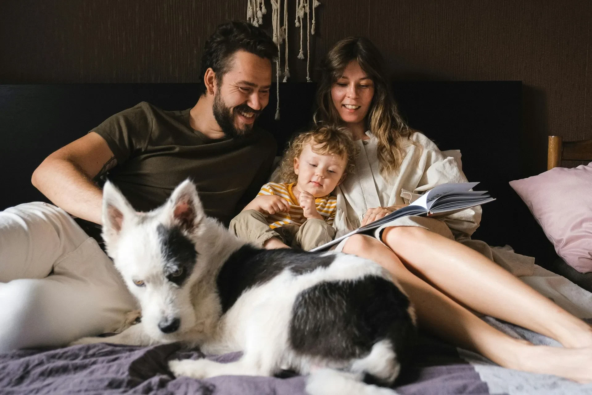 quiero-que-mi-hijo-aprenda-a-entrenar-a-su-perro-que-hago