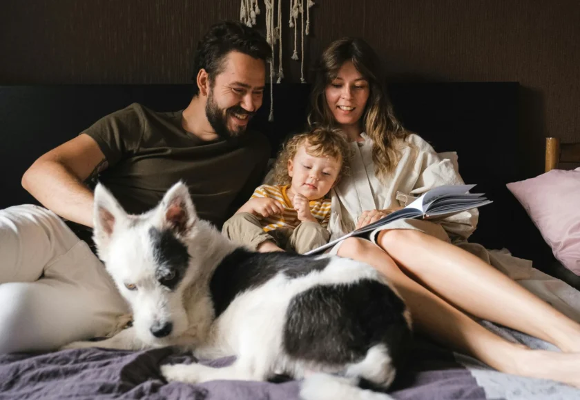 quiero-que-mi-hijo-aprenda-a-entrenar-a-su-perro-que-hago