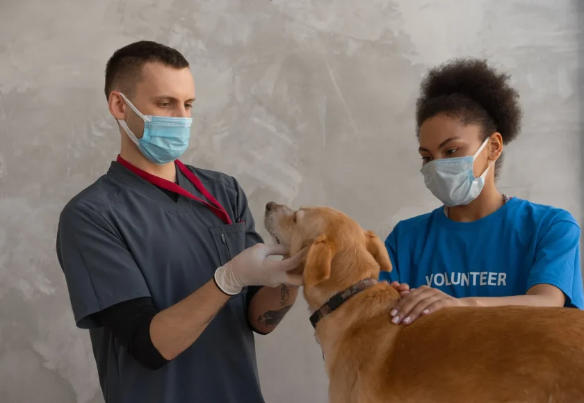 hospital-veterinario-gratuito-cdmx-direccion