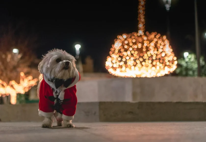 feliz-navidad-perro
