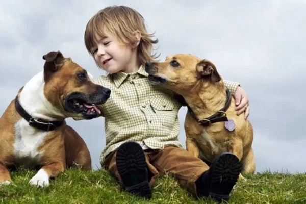 como-lograr-que-los-perros-y-los-ninos-se-lleven-bien-en-casa-1920w